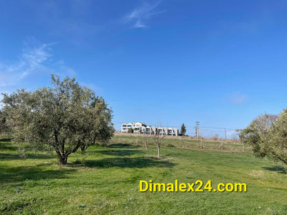 N.40 Plot in Fanari Greece, Rodopi region