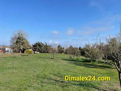 N.40 Plot in Fanari Greece, Rodopi region