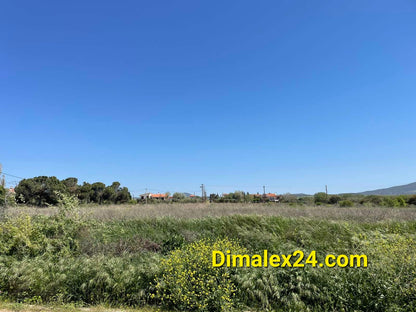 N.50 Parcel in Greece, Rodopi region between Platanitis and Alkion