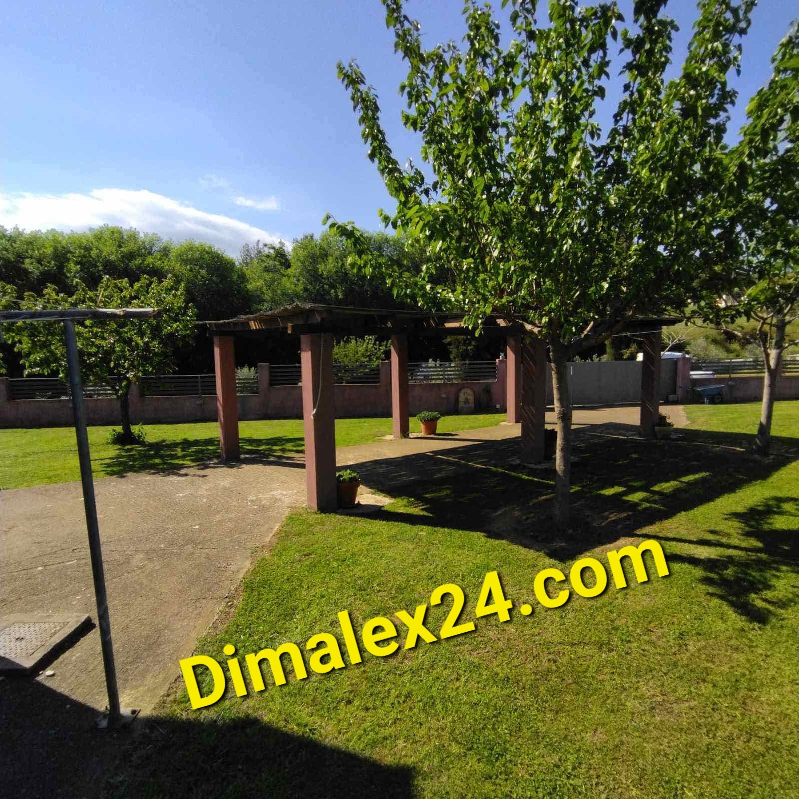Garden area with pergola and greenery in a residential property, showcasing outdoor space.