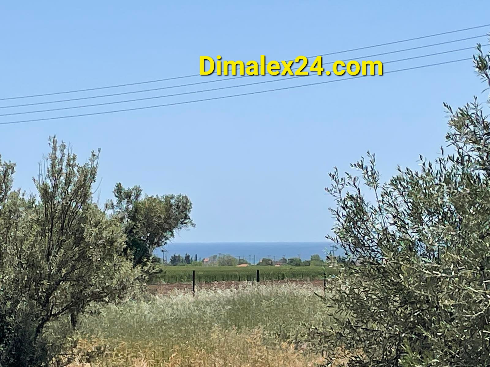 View of the sea from a plot of land in Kryoneri, Rodopi region of Greece, surrounded by olive trees.