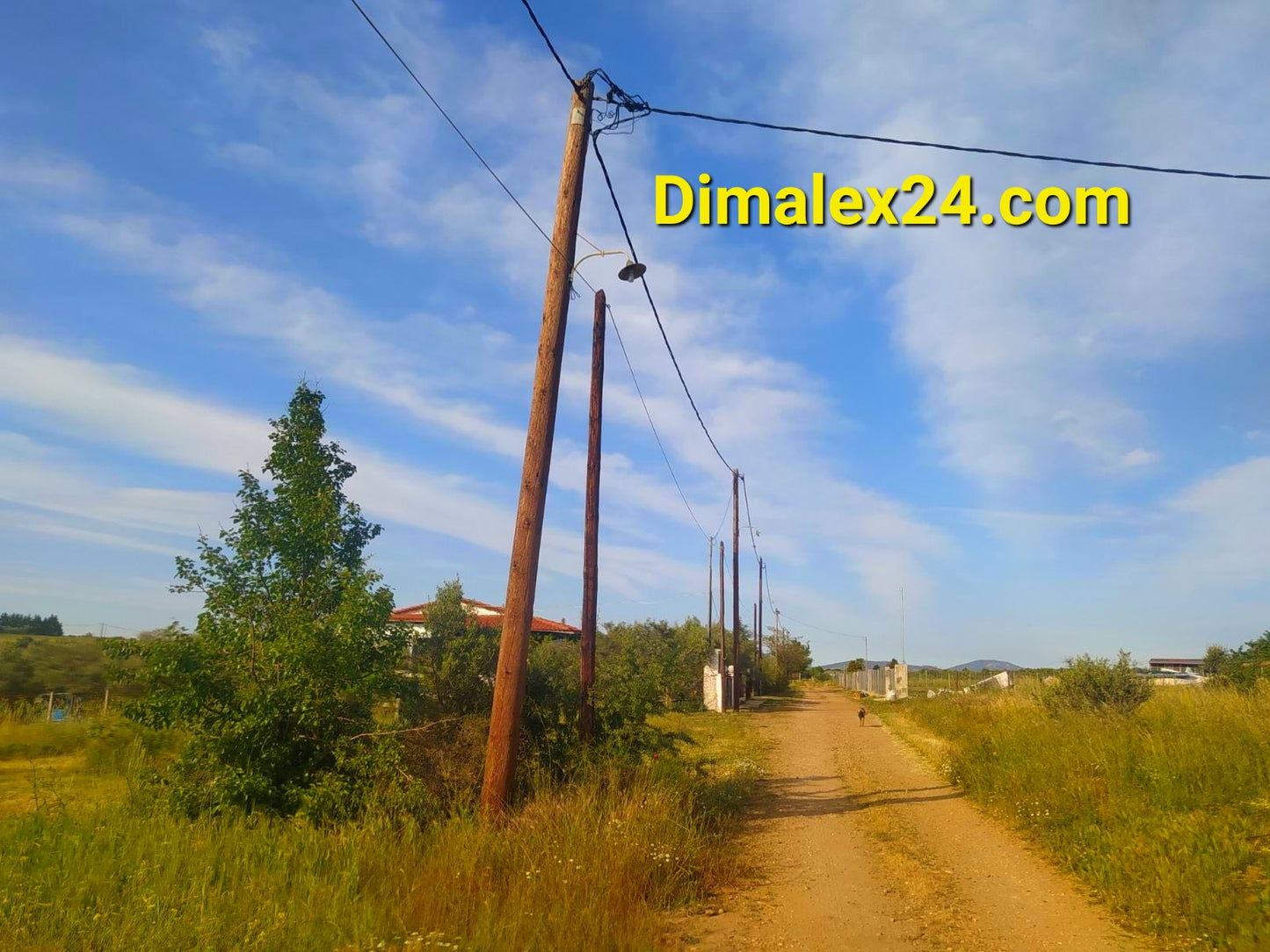 N.61 Парцел в Гърция, област Родопи, Ампелакия