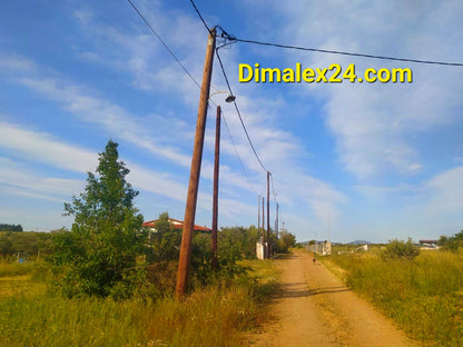 N.61 Парцел в Гърция, област Родопи, Ампелакия
