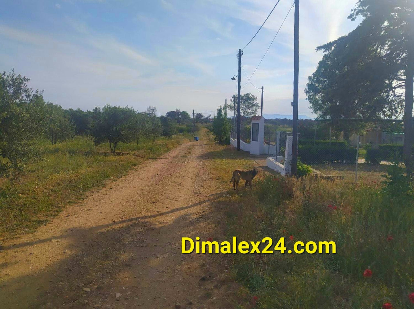 N.61 Парцел в Гърция, област Родопи, Ампелакия