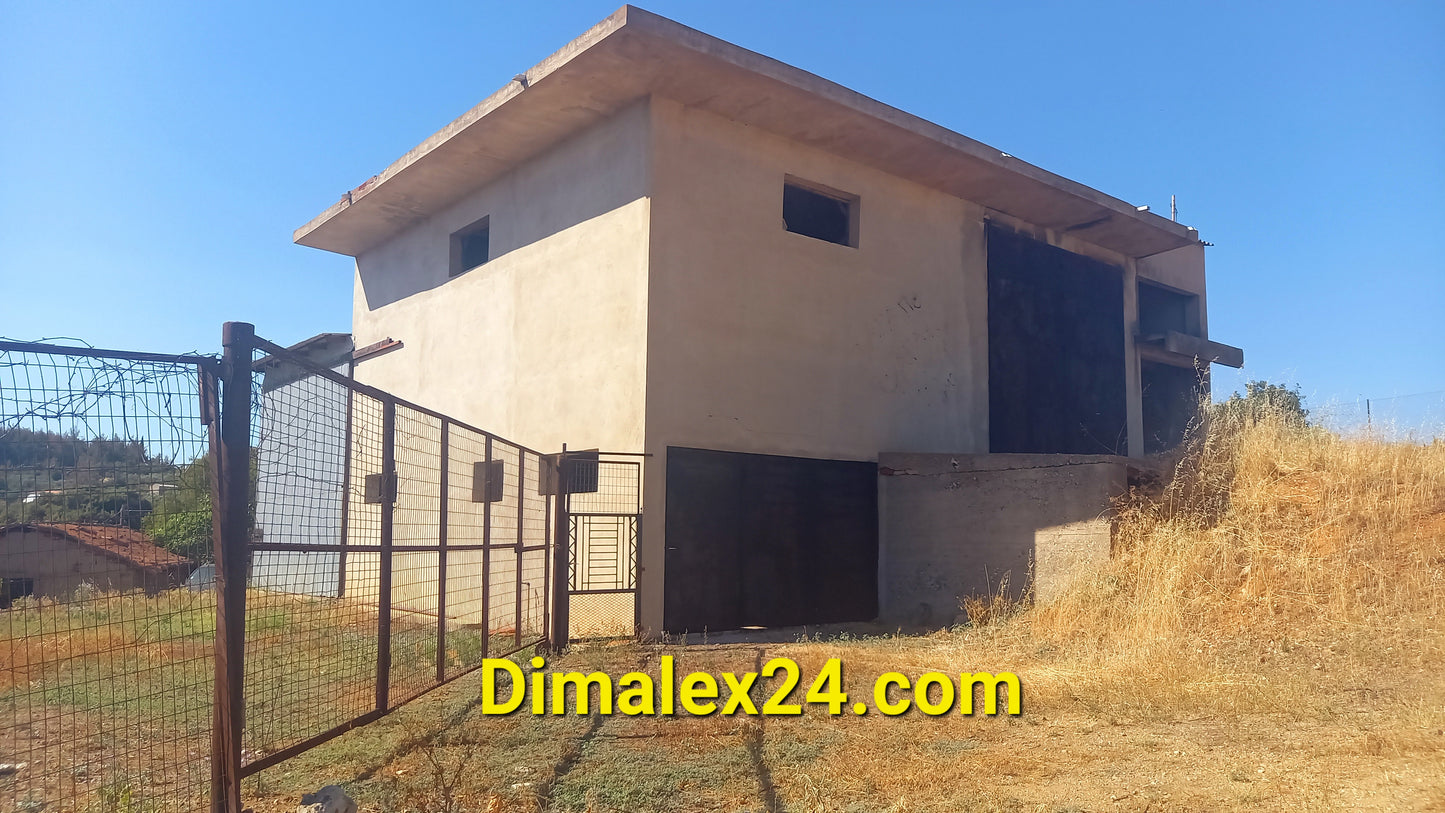 N.85 Building in Greece, Rodopi Region, Kailagani