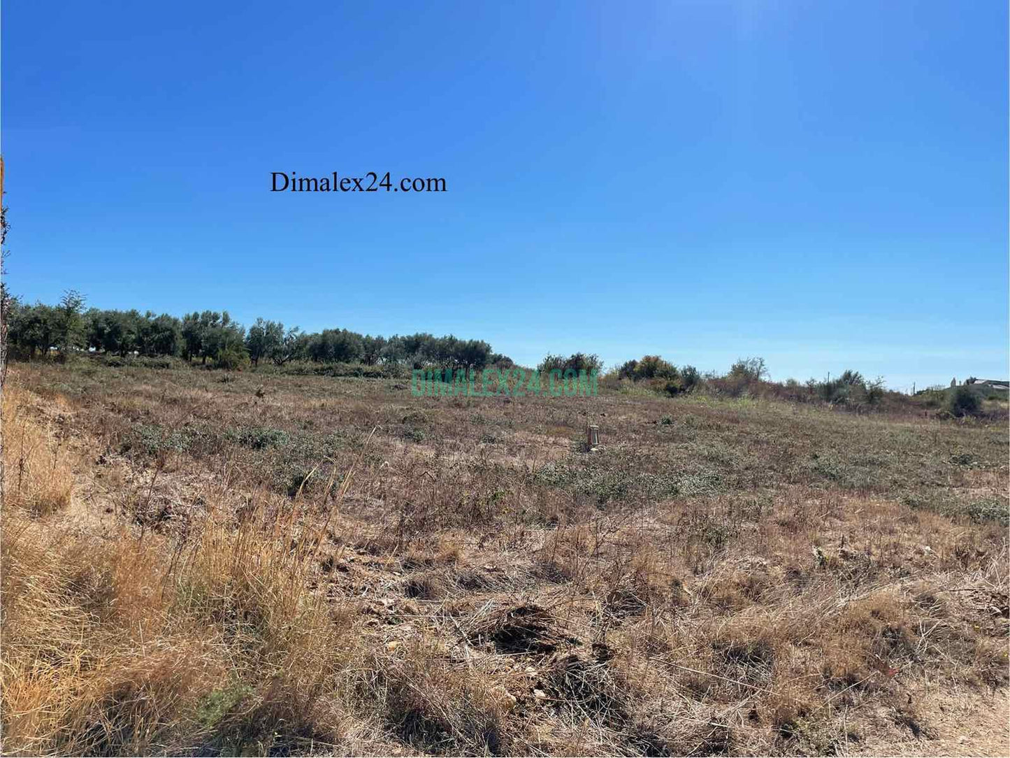 N.13 Plot is Ampelakia, Northern Greece, Rhodope region