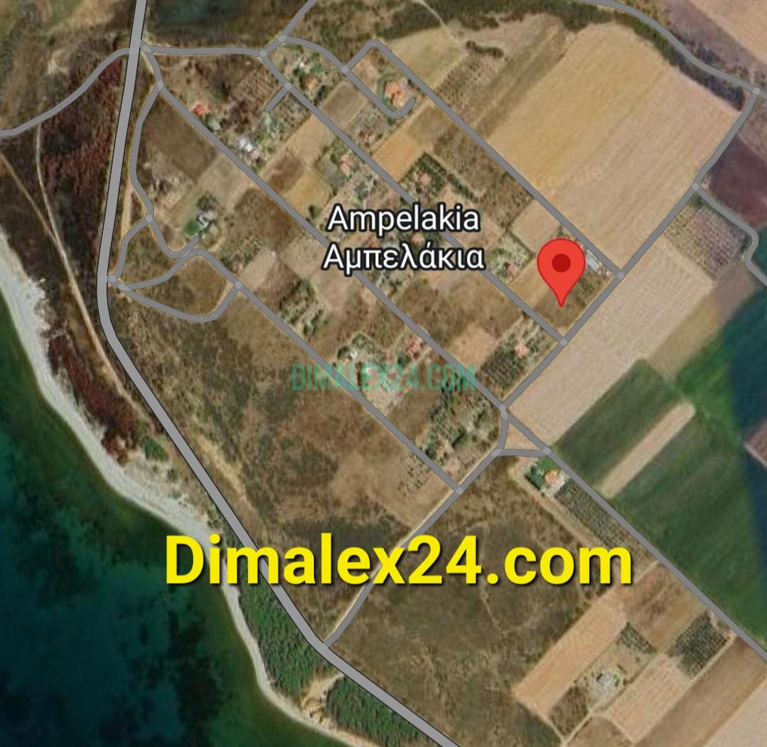 N.13 Plot is Ampelakia, Northern Greece, Rhodope region